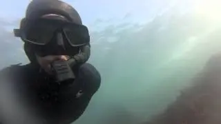 Freediving and Spearfishing at Montana de Oro 11/12/12