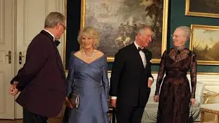 &lsquo;Greatest living soap opera&rsquo;: People &lsquo;hugely interested&rsquo; in Danish and British royals