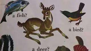 kids riddle book Riddles with Answers