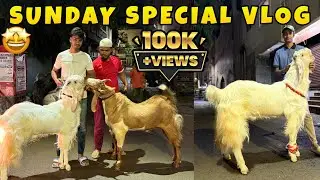 Finally Sunday Special Vlog Aagaya With Sartaj || MD ANAs VLOGs