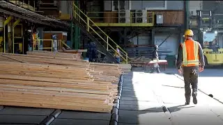 Sawmill management in the 21st Century