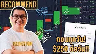 IQ OPTION สอนมือใหม่เริ่มเทรดไม่ต้องตีแนว เทรดถอนได้ทุกวัน!