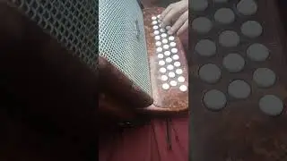kaťu&scaron;a |polka| heligonka BEsAs