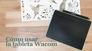 Cómo usar la Tableta Wacom
