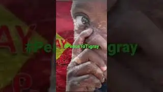 Tigray demands true peace, Eritrean troops must not hinder the Ethio-Tigray peace agreement.