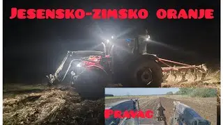 Oranje! | Ploughing! | Massey Ferguson 5711 - IMT 610.14