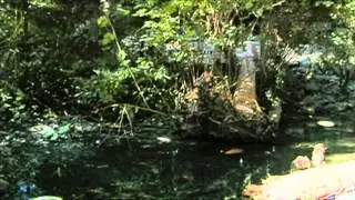 Departure Bay Creek - Shaw TV Nanaimo