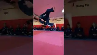 Хапкидо акробатика #hapkido #bjj #judo #martialarts #taekwondo #karate #хапкидо