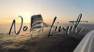 No Limit - Dolphin Slinging May 2024 - Offshore Charleston SC