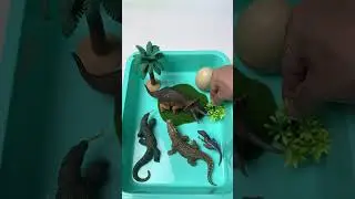 Miniature Animal Toys Diorama Wild Reptiles vs Triceratops | ASMR Toy Video #asmrvideo