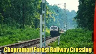 Chapramari Wildlife Sanctuary | Kamakhya Anand Vihar Express Passing through Chapramari Forest
