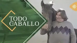 TodoCaballo | El almeriense Hernán Ortiz, especialista y 'horse master' de cine
