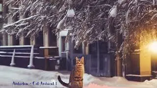 Relaxing Ambient Music - Cat Ambient. Music for people who love cats