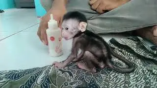 sweet