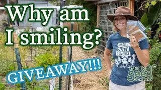 Big Milestone, Big Giveaway! I Bet You've Never Had Tomatoes Like This