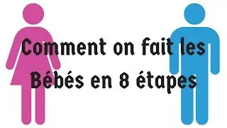 Comment on fait les BEBES en 8 étapes