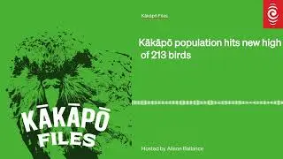 E24: Kākāpō population hits new high of 213 birds | Kākāpō Files | RNZ