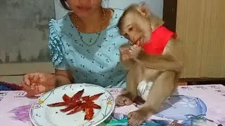 My beloved Ella enjoying favorite food for dinner/ Smart animal