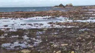 Dunure