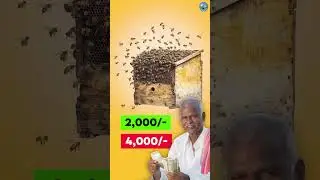 ಜೇನು ಸಾಕಾಣಿಕೆ - ಆದಾಯದ ಮಾರ್ಗಗಳು | Honey Bee Keeping Business Plan in Kannada #beekeeping #honeybees