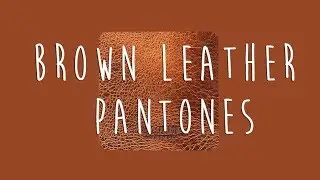 Chic Sparrow's Brown Leathers: Pantone Color Swatch
