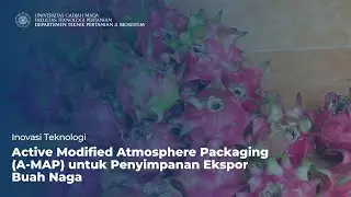 Inovasi Teknologi Active Modified Atmosphere Packaging (A-MAP) untuk Penyimpanan Ekspor Buah Naga