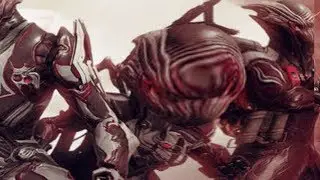 [Warframe] Angst.mp4