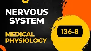 Receptors of Nervous system Part-2 (136 - Sembulingam Physiology) II Sensory Receptors|| CNS