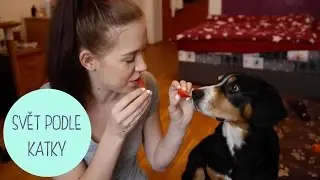 Ochutnávka ovoce a zeleniny #2 | Aron