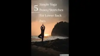 Top 5 simple yoga poses for Stretching and Strengthening Your Lower Back 