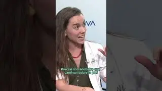 &iquest;Como s&eacute; qu&eacute; insecto me ha picado? | PortalCL&Iacute;NIC