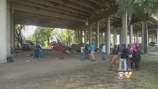 Dallas Residents, Businesses Want Homeless Camp Shut Down