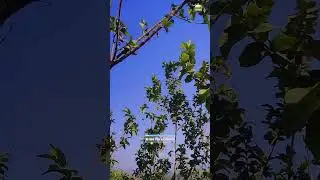 Beautiful View point 3.56 Acres | Coimbatore 56km | V1 Realtys +919843710234