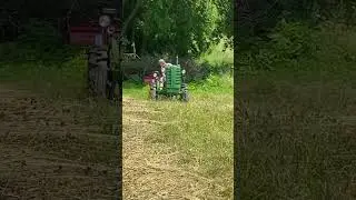 John Deere M raking hay with a pine straw rake #johndeereclassic #johndeere #oldtractors #shorts