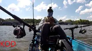 Appomattox River (Hopewell Marina)