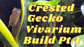 How to convert an aquarium into a terrarium / crested gecko vivarium build / part 1