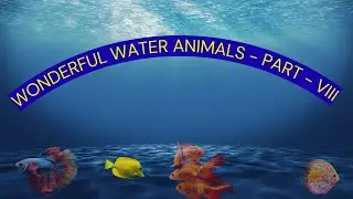 WONDERFUL WATER ANIMALS - PART VIII | #bagga | #baggacreativity | #beautfulnature | #naturalbeauty |