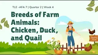 TLE AFA 7 Quarter 2 Week 4 - Breeds of Farm Animals: Chicken, Duck, and Quail