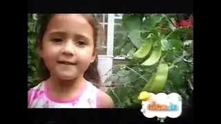 Nick Jr. 15