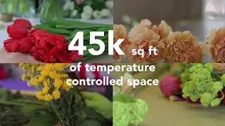 Robinson Fresh &mdash; Floral Logistics