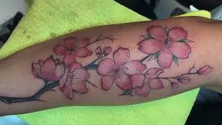 Cherry blossoms tattoo time lapse/Americans love cherry blossoms./người Mỹ rất y&ecirc;u hoa anh đ&agrave;o .