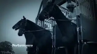 Longines | 180 Years of Elegance, Tradition & Performance