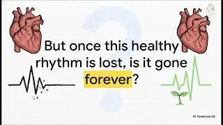 Respiratory Sinus Arrhythmia: What It Reveals About Heart Disease