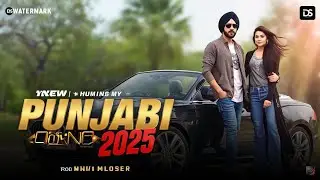 New Ds Punjabi Hits song 2025 🎵🎈#PunjabiHits. #Punjabiclubsong