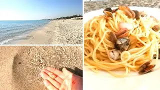🐚🐚🐚 Spaghettis aux tellines de Chott Mariem, معكرونة بمحار شط مريم, spaghetti with telline clams 🐚🐚🐚