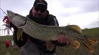 SPINNERBAIT SAVAGE GEAR DA'BUSH QUAND les pikes adore le métal!