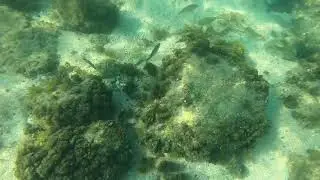 Cala Sa Conca
