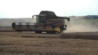 Weizenernte 2014 mit New Holland CX 8080