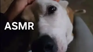 ASMR | UM AMANHECER NO SÍTIO #gabiasmr