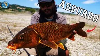 UN PESCE INCREDIBILE